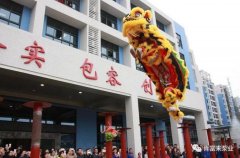 醒狮贺岁，开云网页版·官方端网站-开云(中国)2019年开工大吉